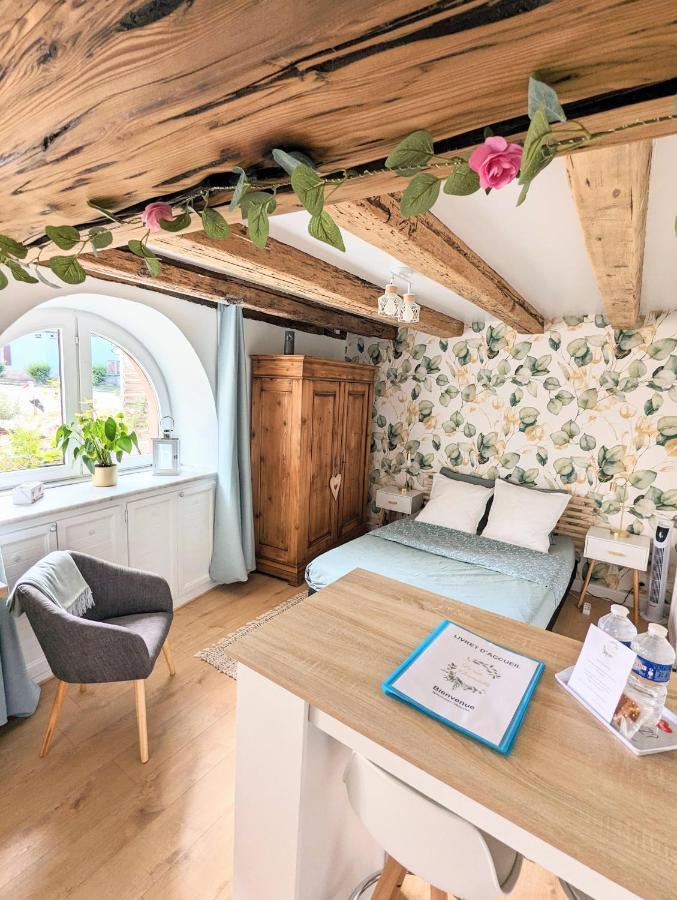 Le Nid D'Hirondelle Apartamento Gertwiller Exterior foto